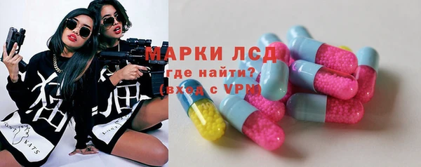индика Нязепетровск