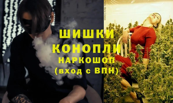 прущие грибы Балабаново